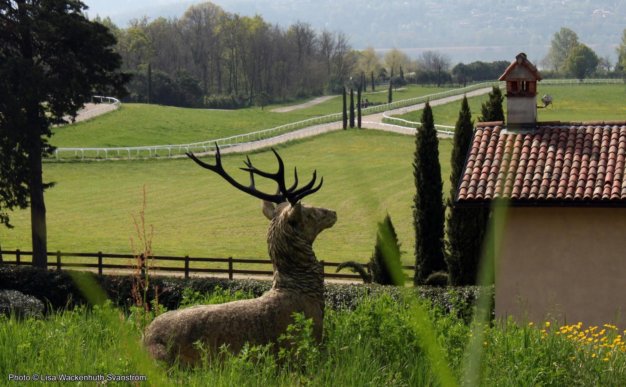 Foresteria Dei Piaceri Campestri Casciago Bagian luar foto